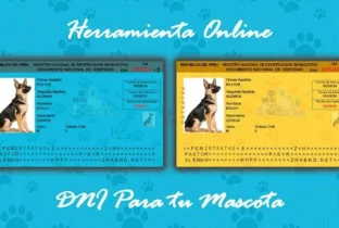 Crea un DNI para tu mascota de forma fácil y gratis (Recurso Online)
