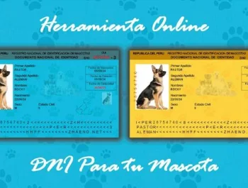 Genera DNI para tu mascota Herramienta