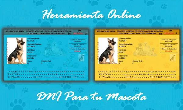 Genera DNI para tu mascota Herramienta Online - Zhaend.Ne