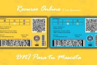Crea un DNI para tu mascota de forma online (Parte Reverso)
